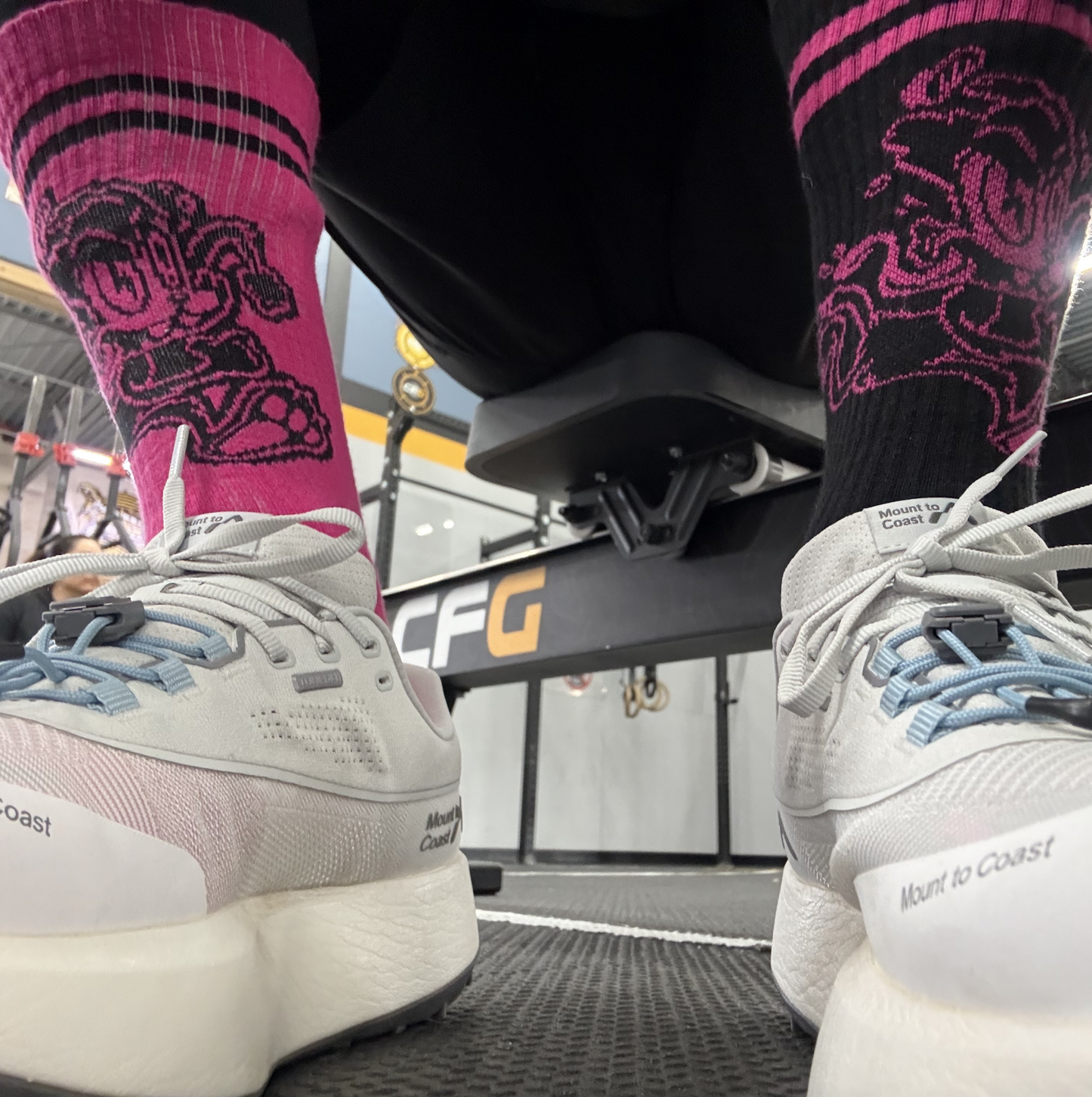 Alley Cat Mismatched Socks