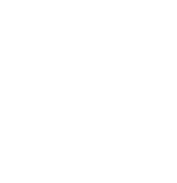 Pussyfoot Running
